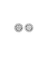 Stud Earrings - Framed